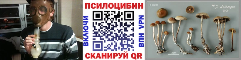 Псилоцибиновые грибы GOLDEN TEACHER  Купить где  Калтан 
